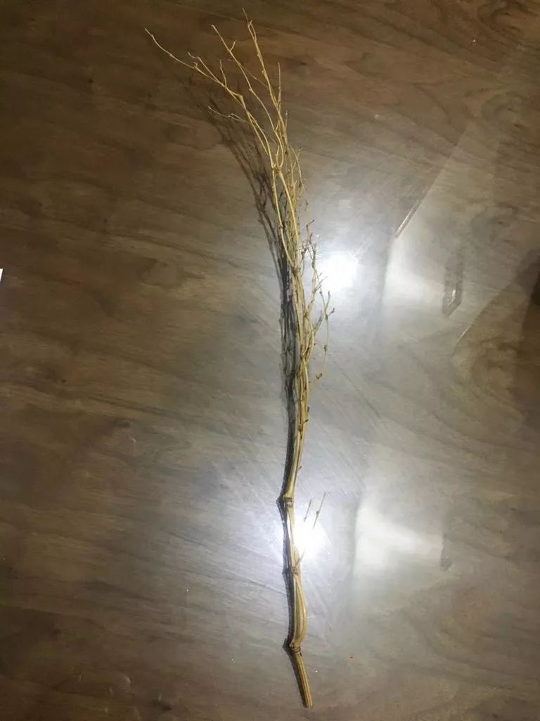 ��̥���޷ֹ���   ��������