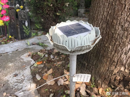 ��Ĺ����û��ȴ�������������������ŵò���ɨĹ