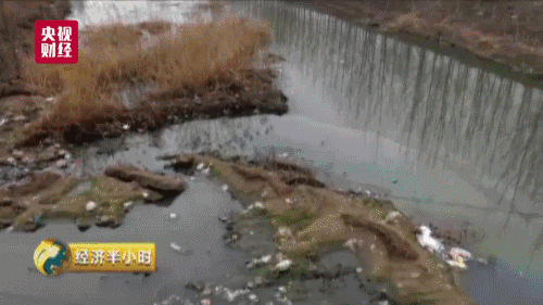 �����ع�������ֵ100�ڵġ���Ⱦ԰������������Ǯ��Ը��ӳ����