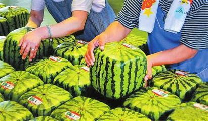 ũֳ ϸóԣôֳģ