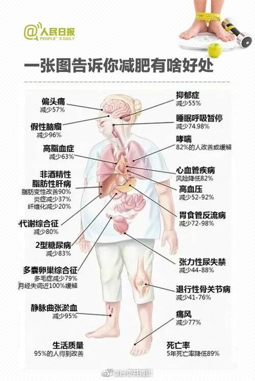 �����������ƽ���   ��ô��������