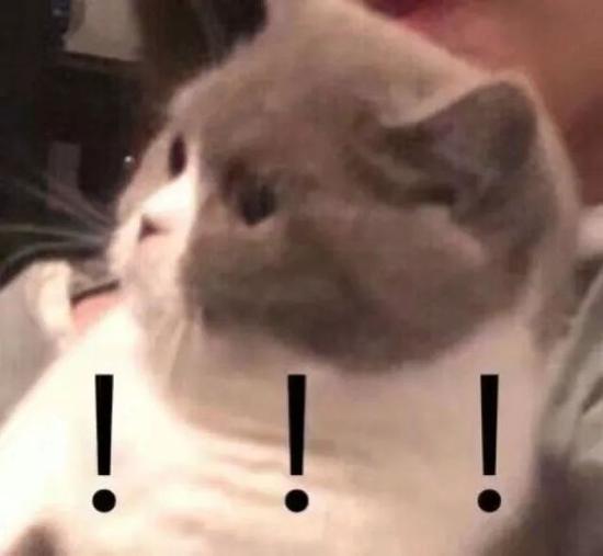 ��������Լ�ϵ»�  �������׹���