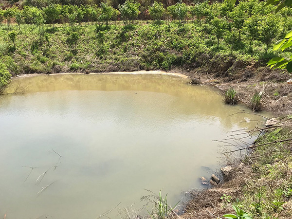 10���9�ֶ�Ʒ   ̫���