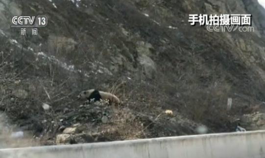 ż����è�ᴩ��·  һ���˳պ�״