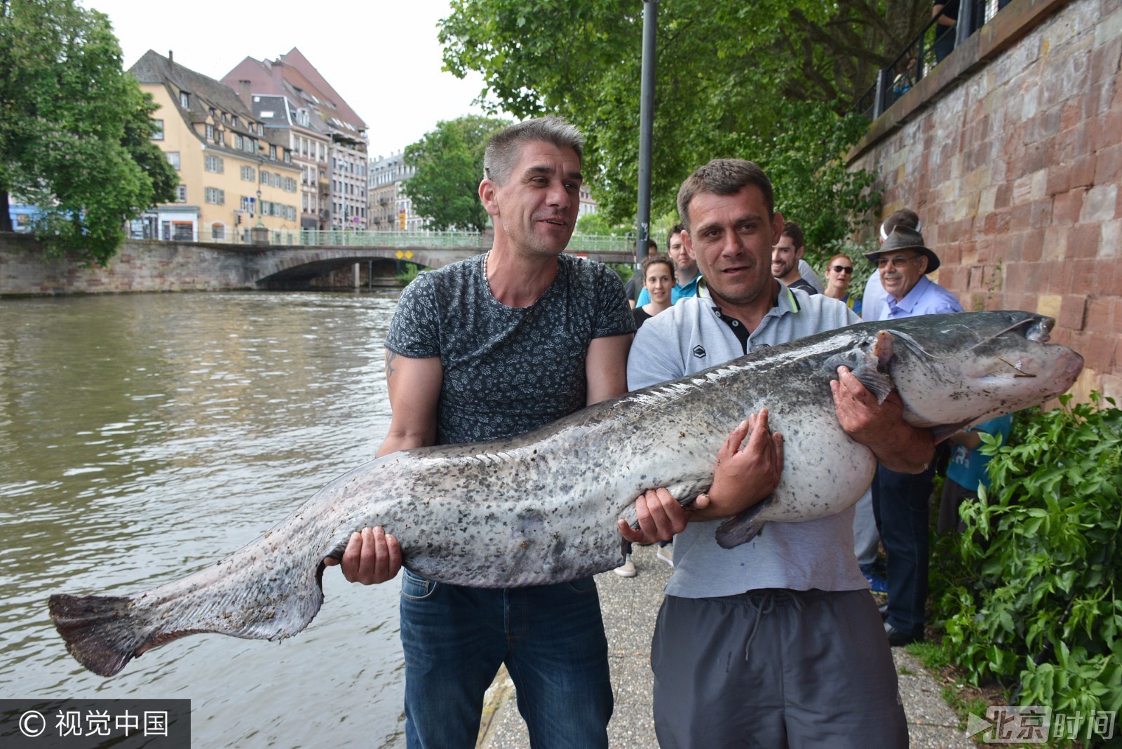 渔民捕获重120斤鲶鱼 成精了!