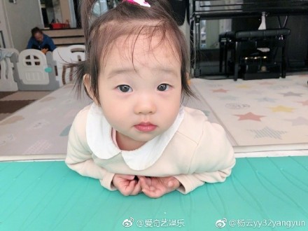 ����ɹ˫��̥Ů��  �ɰ����ȳ��ɰ���