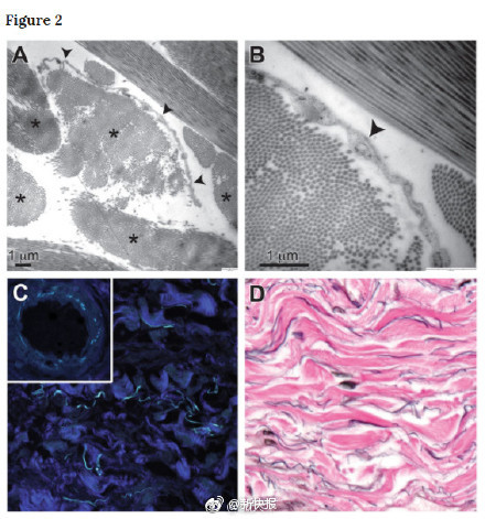 ����ѧ�ҷ�������������     ���ܽ��Ͱ�ϸ����ο���ת��
