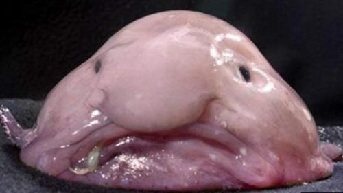 ձչˮ Ϊ˵㣡