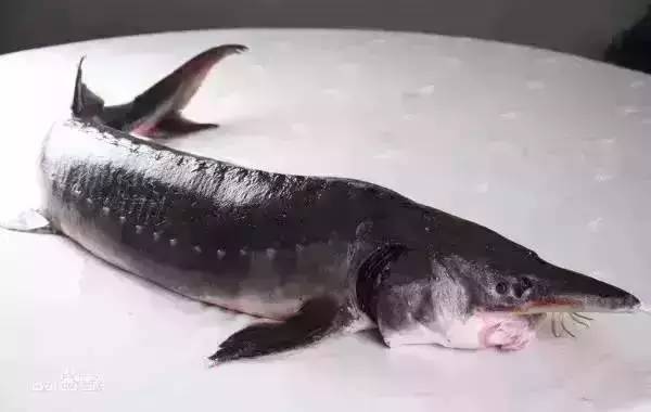 2׳12  ǻƽ۸