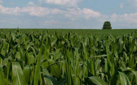 ����һ�������׽�����  ��ȥ�������ҽ�Ʋ���