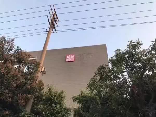 ������ڧ�������żѱ�������